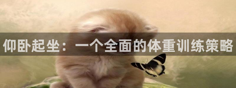 凯捷体育开户：仰卧起坐：一个全面的体重训练策略