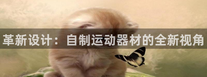 凯捷体育科技：革新设计：自制运动器材的全新视角