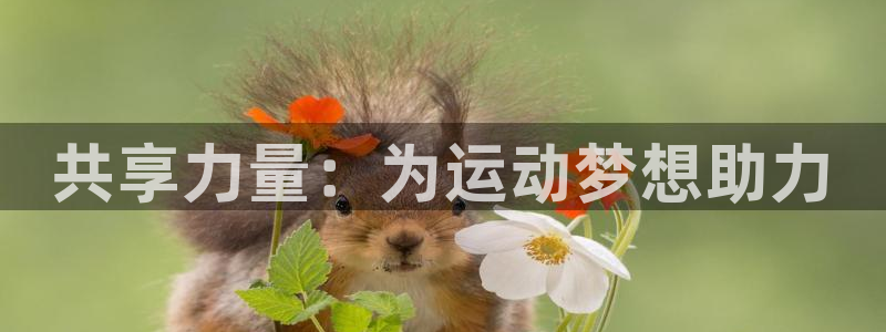 凯捷体育招商电话是多少：共享力量：为运动梦想助力