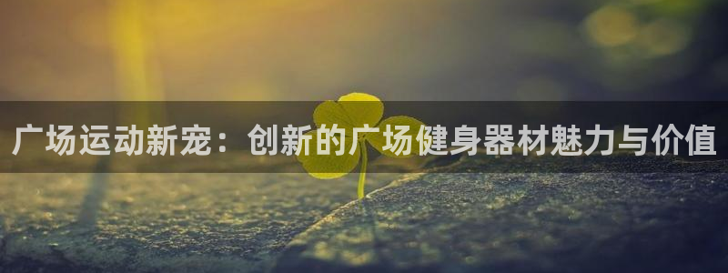 凯捷体育集团logo：广场运动新宠：创新的广场健身器
