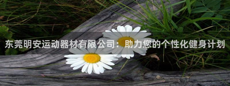 凯捷体育集团简介：东莞明安运动器材有限公司：助力您的