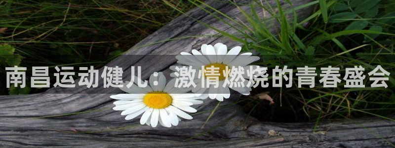 凯捷体育官网