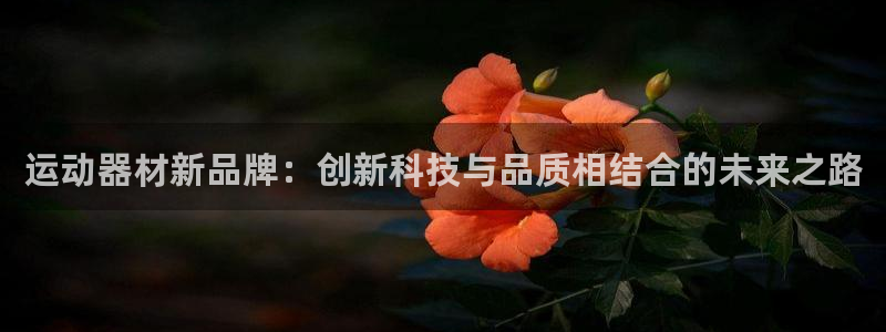凯捷体育娱乐网站：运动器材新品牌：创新科技与品质相结合的未来