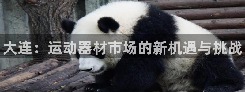 海南凯捷体育：大连：运动器材市场的新机遇与挑战