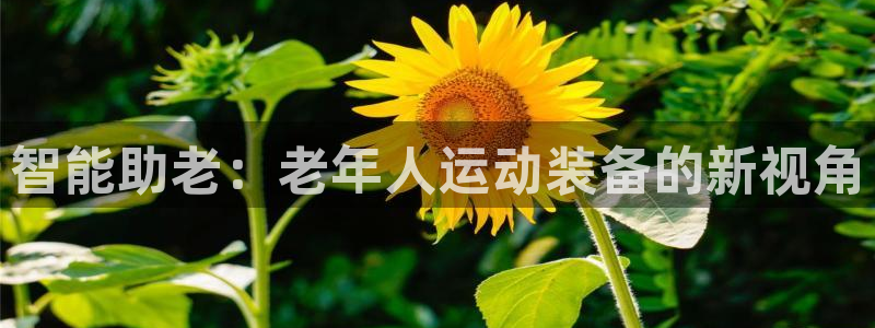 凯捷体育招商电话地址是多少