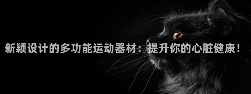 凯捷体育平台注册流程图：新颖设计的多功能运动器材：提