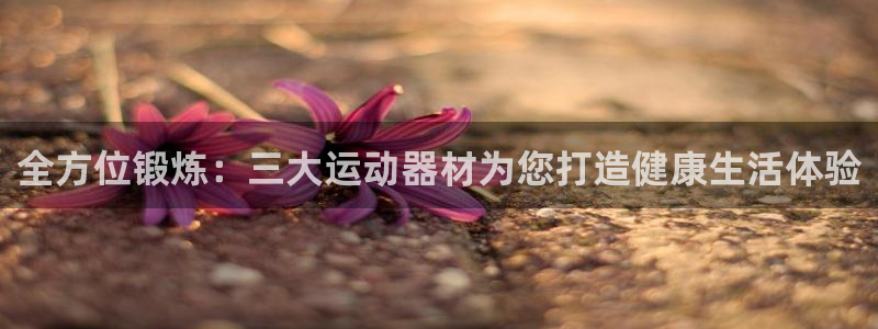 凯捷体育集团logo