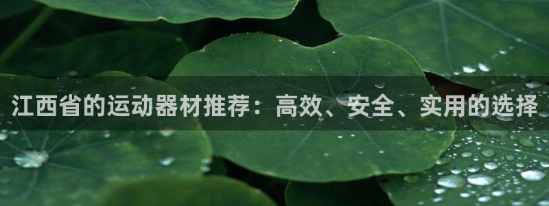注册凯捷体育：江西省的运动器材推荐：高效、安全、实用