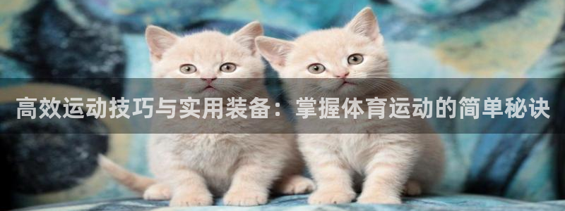 凯捷体育招商电话号码查询：高效运动技巧与实用装备：掌