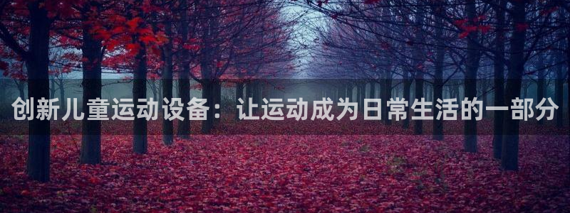 凯捷体育平台假的吗是真的吗吗：创新儿童运动设备：让运