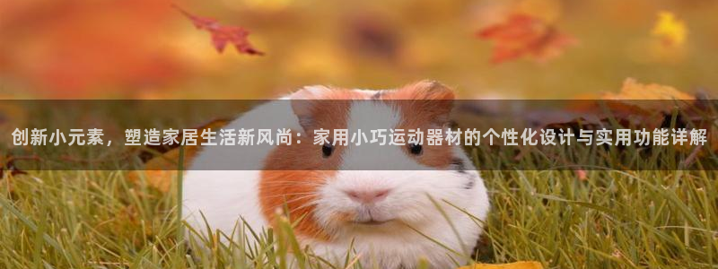 凯捷体育联系电话