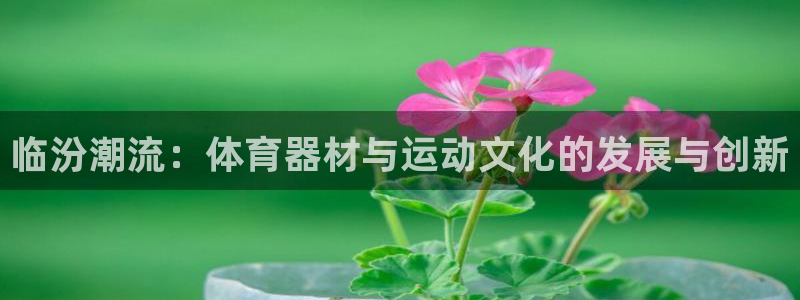 凯捷体育平台注册流程视频：临汾潮流：体育器材与运动文