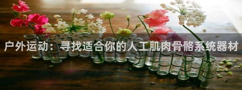 凯捷体育新能源