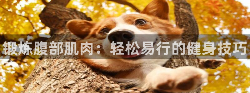 凯捷体育联系电话：锻炼腹部肌肉：轻松易行的健身技巧