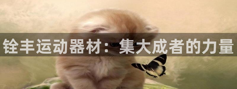 凯捷体育招商电话号码是多少啊：铨丰运动器材：集大成者的力量