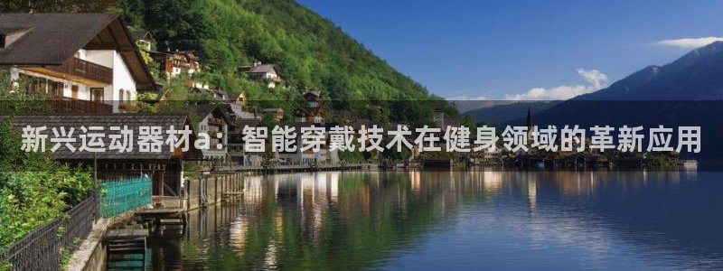 意昂集团官网：新兴运动器材a：智能穿戴技术在健身领域