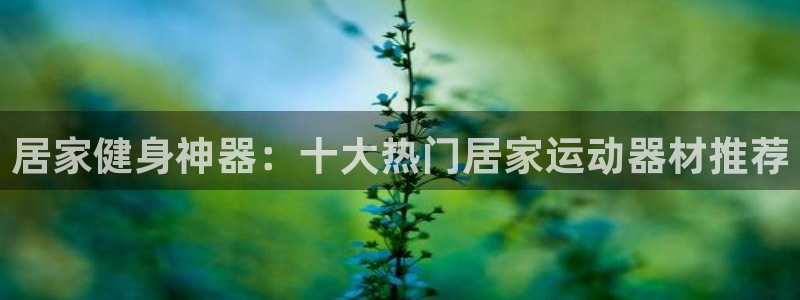 凯捷体育