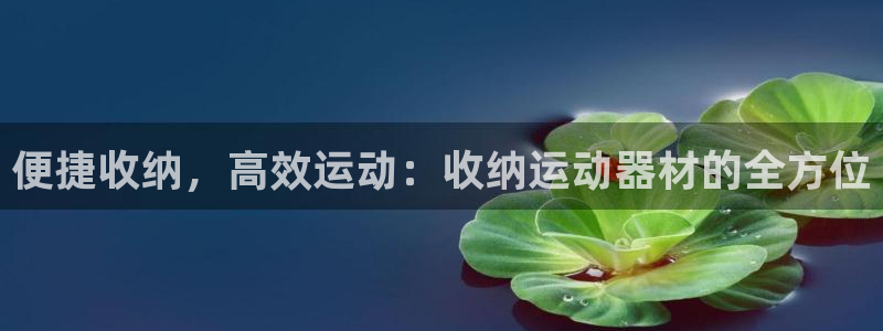 凯捷体育注册：便捷收纳，高效运动：收纳运动器材的全方位