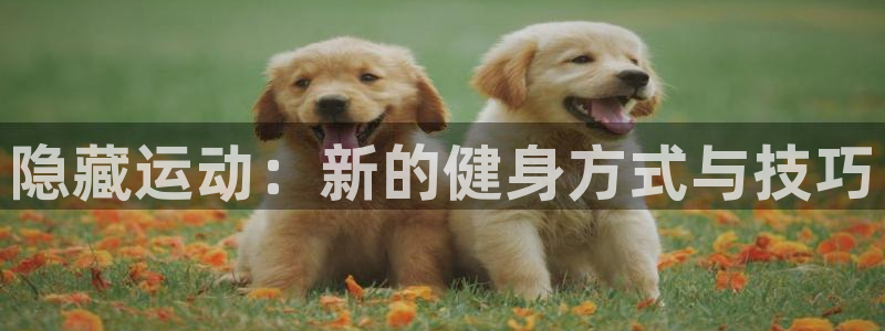 凯捷体育平台是正规平台吗：隐藏运动：新的健身方式与技巧
