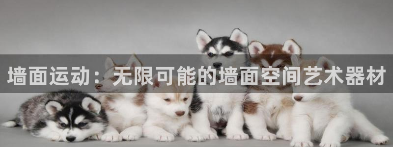 凯捷体育软件