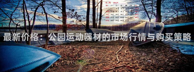凯捷体育平台注册流程图：最新价格：公园运动器材的市场行情与购