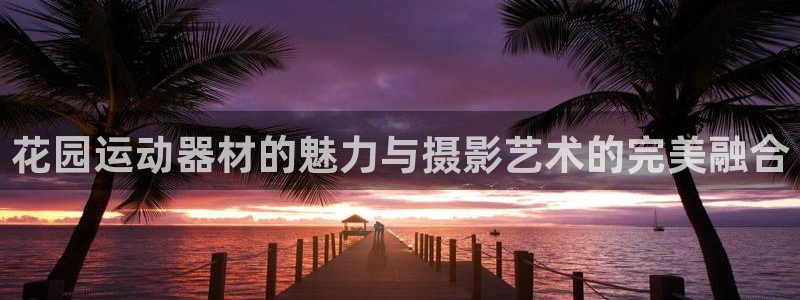 凯捷体育招商电话号码：花园运动器材的魅力与摄影艺术的完美融合