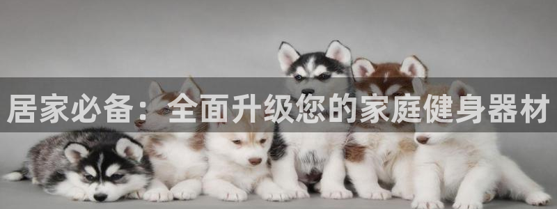 凯捷体育招商：居家必备：全面升级您的家庭健身器材