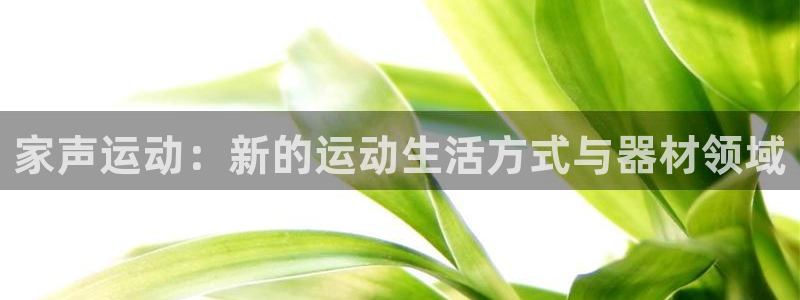 海南凯捷体育：家声运动：新的运动生活方式与器材领域