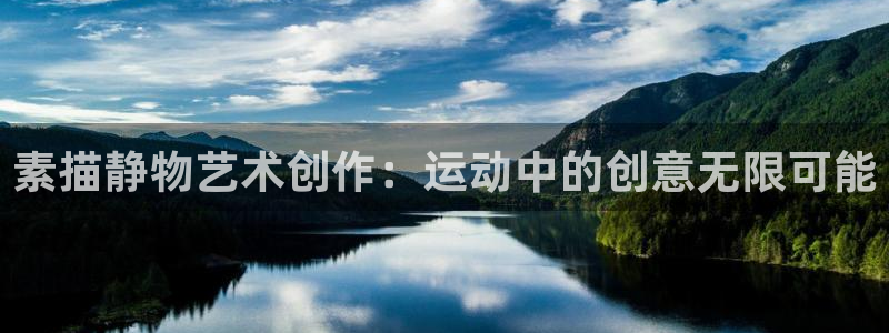 凯捷体育官网：素描静物艺术创作：运动中的创意无限可能