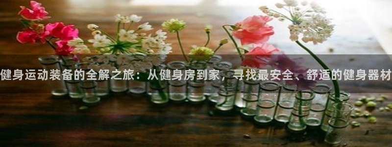 凯捷体育平台注册要钱吗：健身运动装备的全解之旅：从健