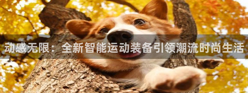 凯捷体育集团官网网址：动感无限：全新智能运动装备引领