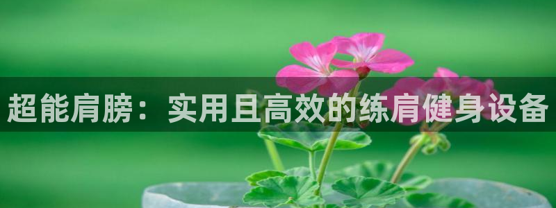 凯捷体育平台注册要钱吗是真的吗：超能肩膀：实用且高效