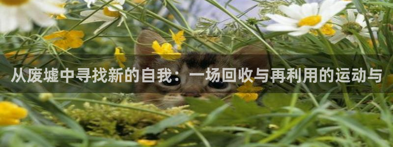 凯捷体育娱乐代理怎么样：从废墟中寻找新的自我：一场回