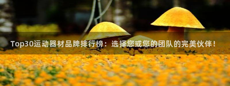 凯捷体育招商电话地址是多少：Top30运动器材品牌排