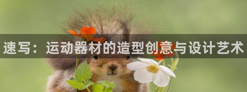 海南凯捷体育：速写：运动器材的造型创意与设计艺术