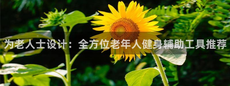 凯捷体育平台注册流程视频：为老人士设计：全方位老年人
