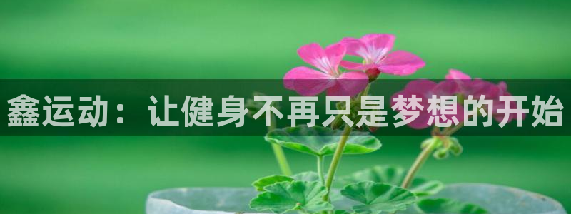 凯捷体育娱乐网站：鑫运动：让健身不再只是梦想的开始