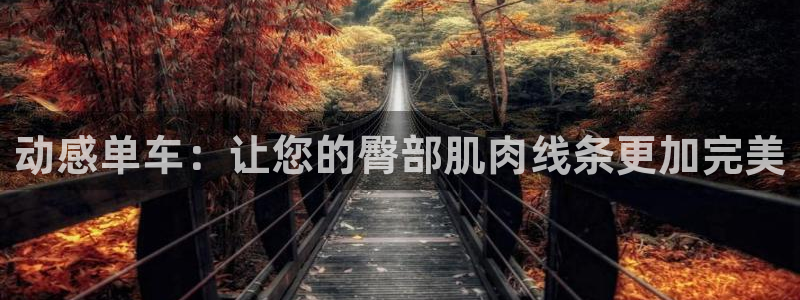凯捷体育是干嘛的公司