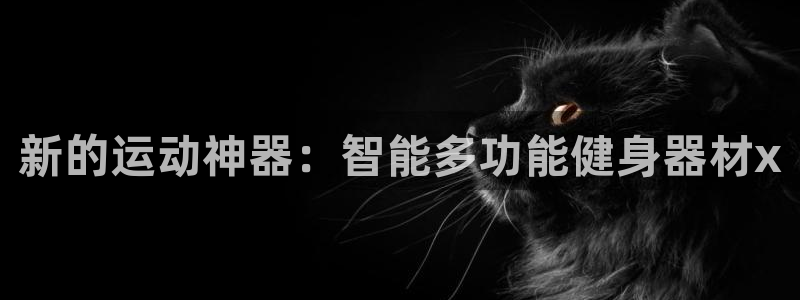 凯捷体育：新的运动神器：智能多功能健身器材x