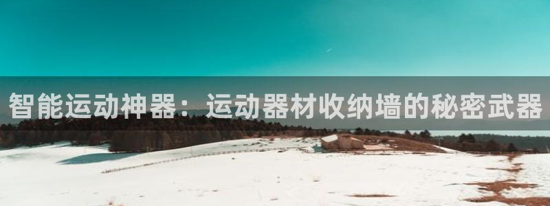 凯捷体育集团logo
