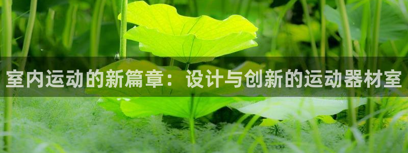 凯捷体育平台是正规平台吗知乎：室内运动的新篇章：设计与创新的