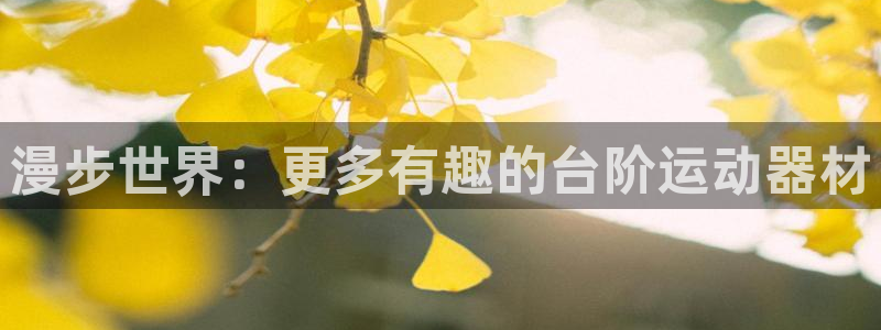 凯捷体育官方客服电话：漫步世界：更多有趣的台阶运动器材