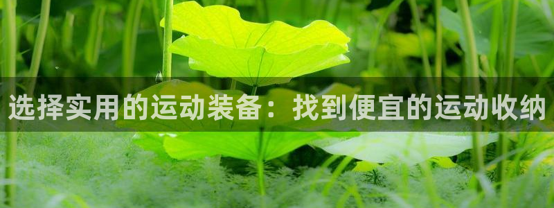 凯捷体育平台注册流程图：选择实用的运动装备：找到便宜