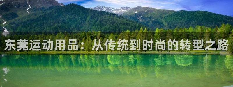 凯捷体育娱乐是那个系列的台子：东莞运动用品：从传统到