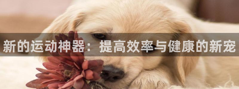 凯捷体育联系电话：新的运动神器：提高效率与健康的新宠