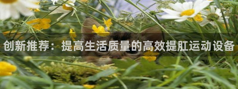 德国凯捷体育集团：创新推荐：提高生活质量的高效提肛运