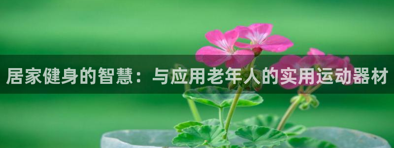 凯捷体育娱乐下载：居家健身的智慧：与应用老年人的实用