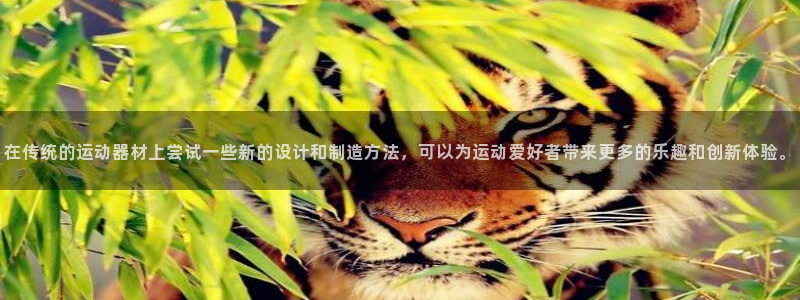 凯捷体育招商电话号码查询是多少：在传统的运动器材上尝