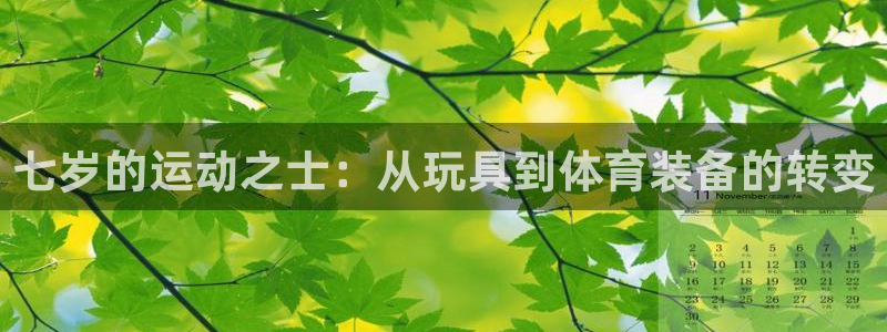 凯捷体育招商：七岁的运动之士：从玩具到体育装备的转变