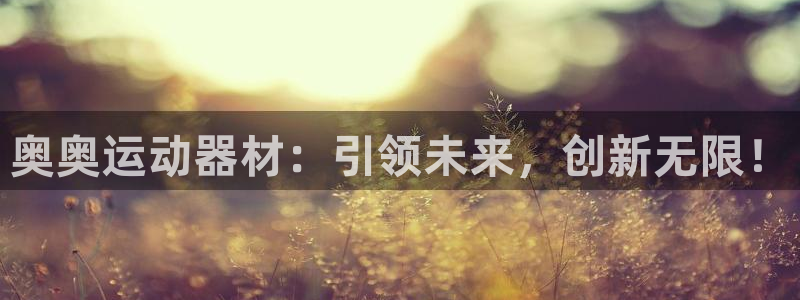 海南凯捷体育：奥奥运动器材：引领未来，创新无限！